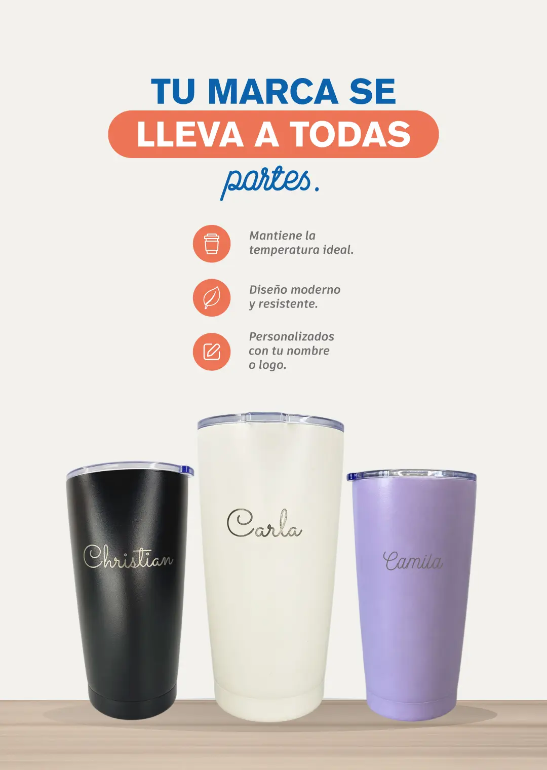 CIAME Insumos - Slide 3